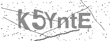 visual captcha